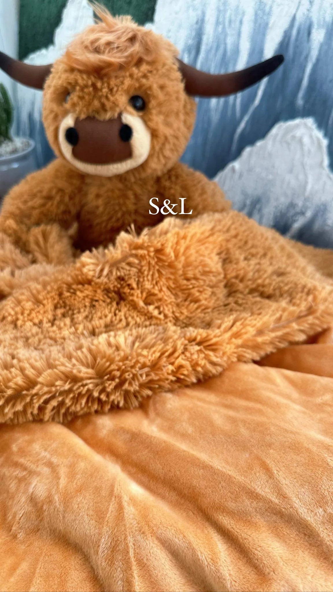 Highland Cow Blanket